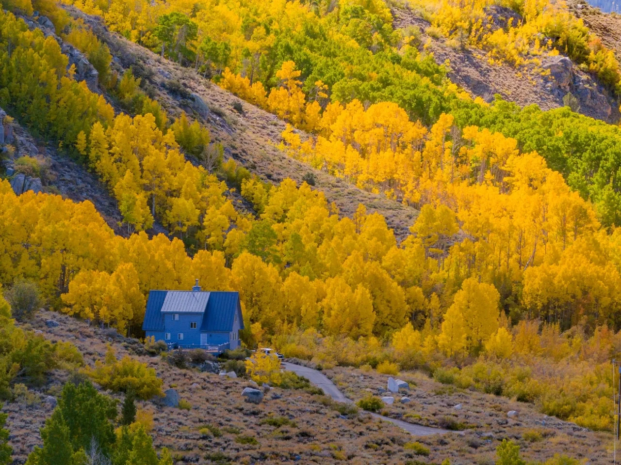 Pure Dry Goods! California Treasure Highway 395 Autumn Appreciation Guide 🍁