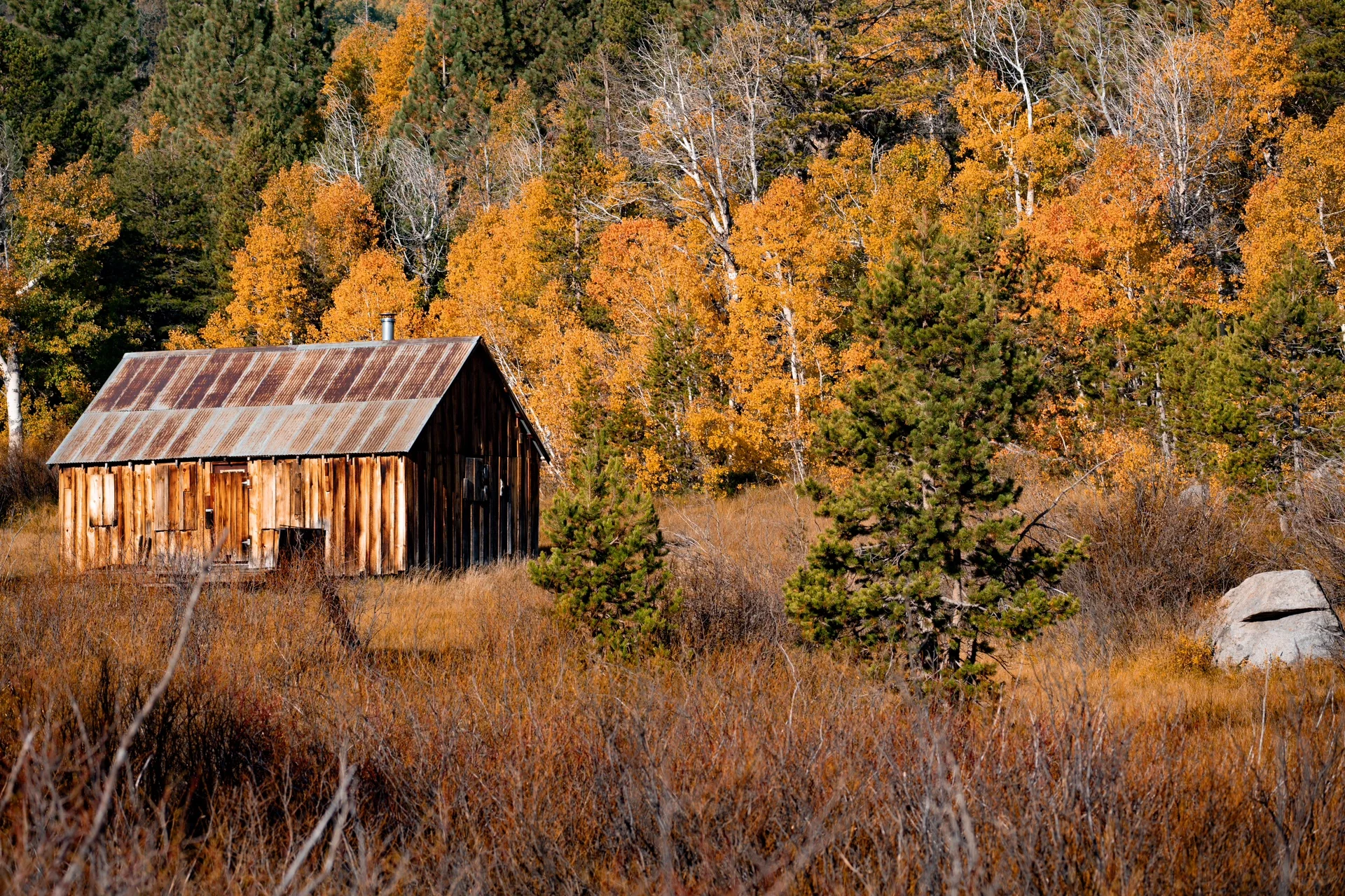 Pure Dry Goods! California Treasure Highway 395 Autumn Appreciation Guide 🍁