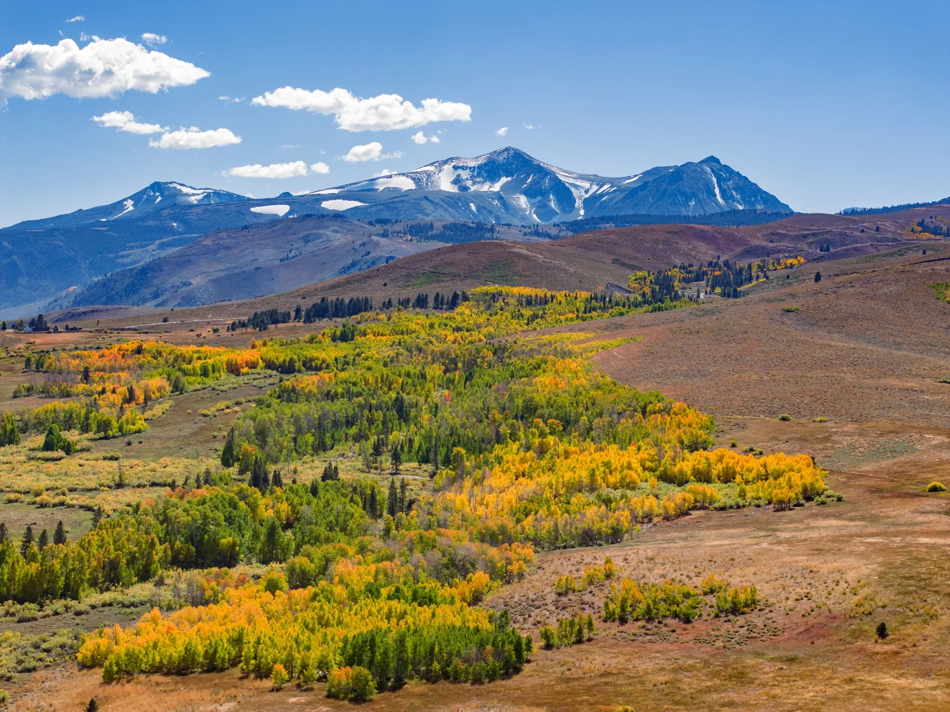 Pure Dry Goods! California Treasure Highway 395 Autumn Appreciation Guide 🍁