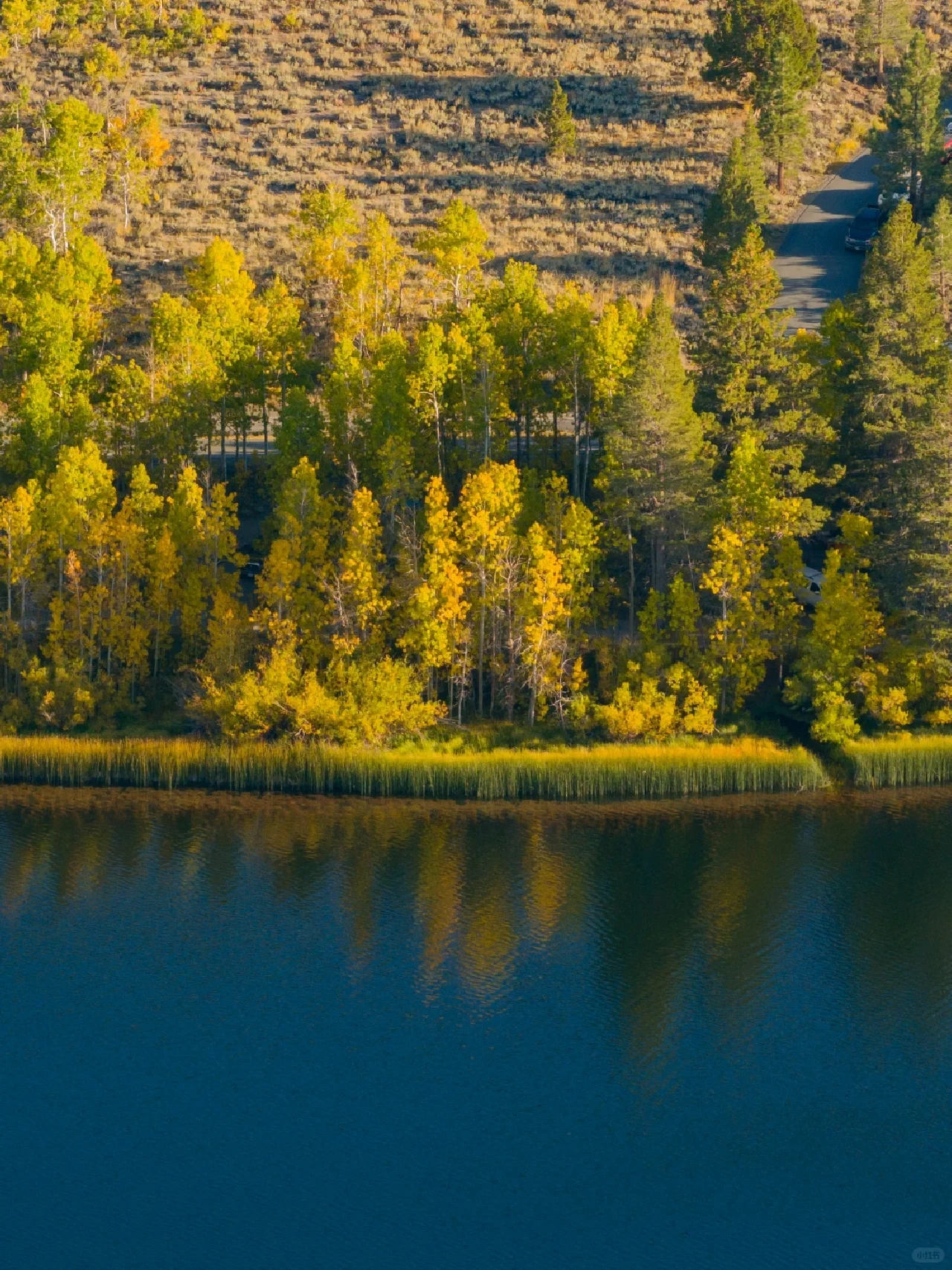 Pure Dry Goods! California Treasure Highway 395 Autumn Appreciation Guide 🍁