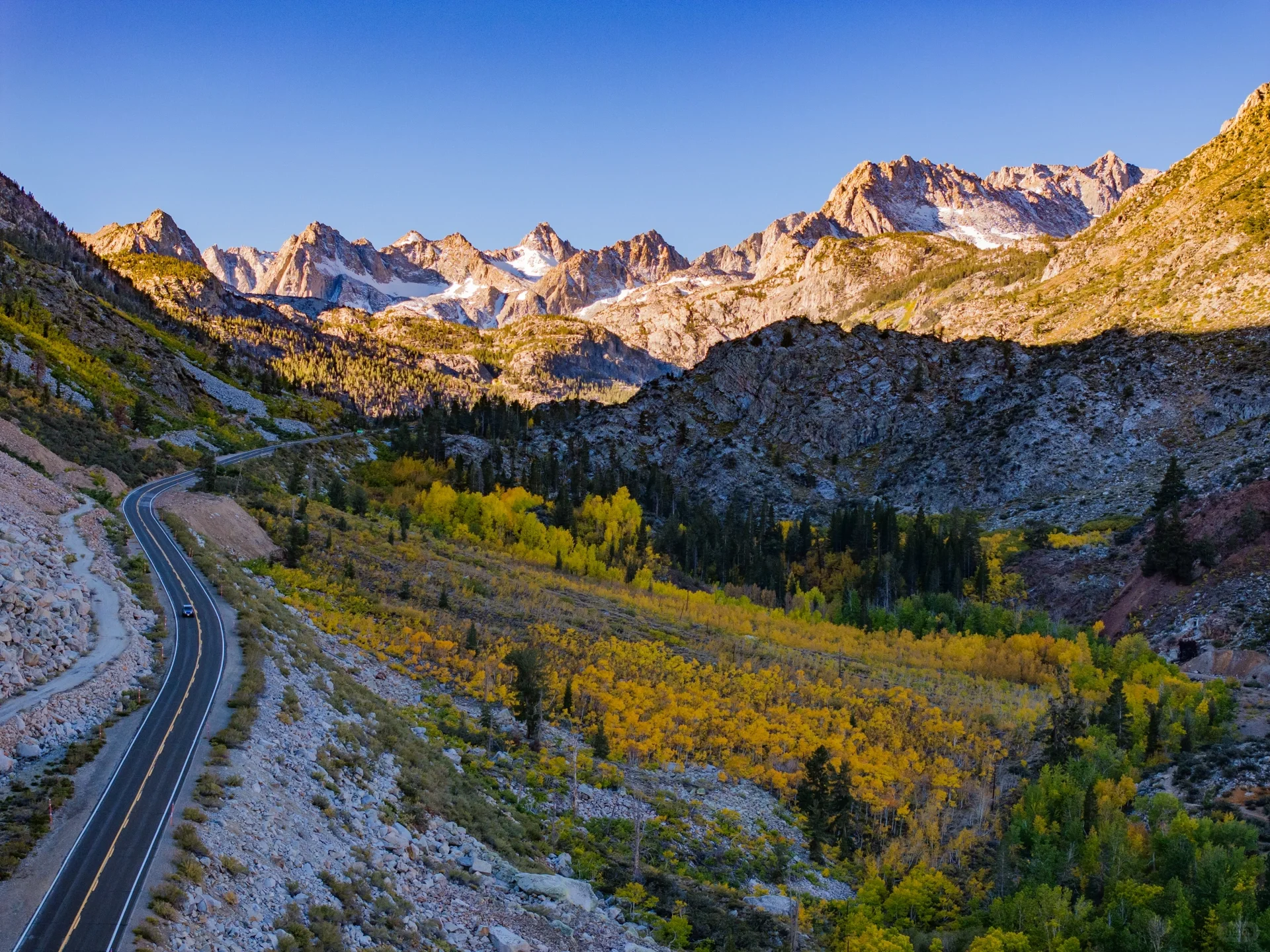 Pure Dry Goods! California Treasure Highway 395 Autumn Appreciation Guide 🍁
