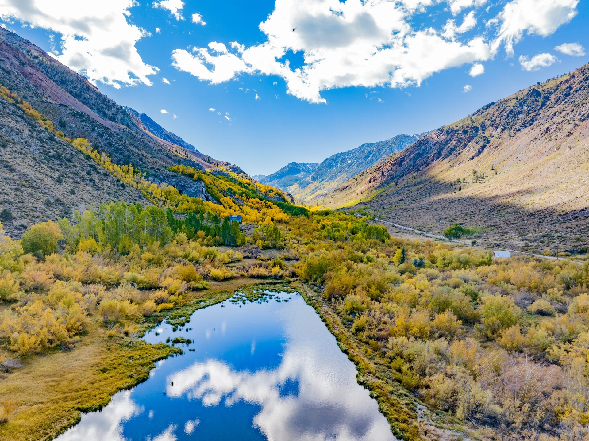 Pure Dry Goods! California Treasure Highway 395 Autumn Appreciation Guide 🍁