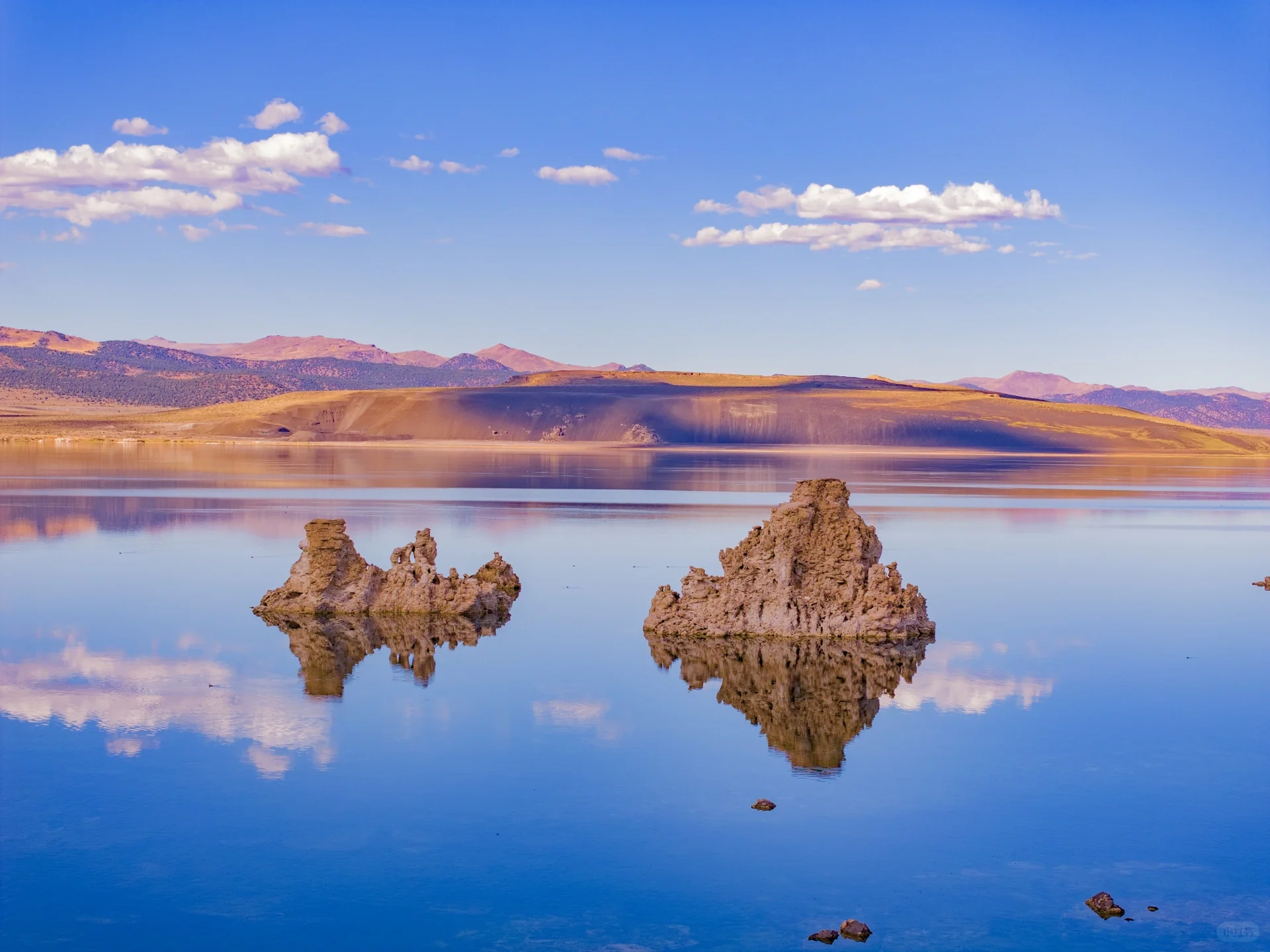 Pure Dry Goods! California Treasure Highway 395 Autumn Appreciation Guide 🍁