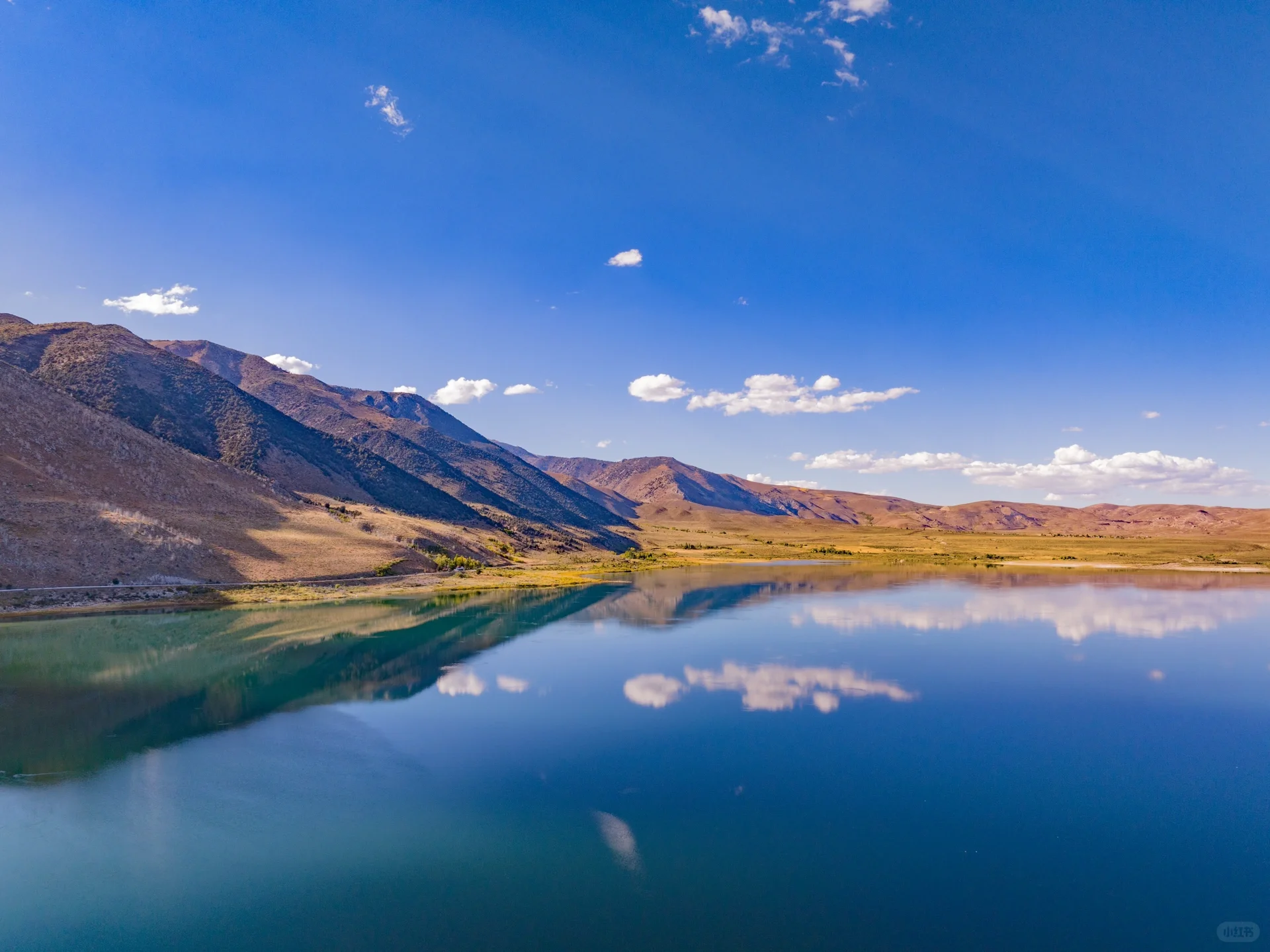 Pure Dry Goods! California Treasure Highway 395 Autumn Appreciation Guide 🍁