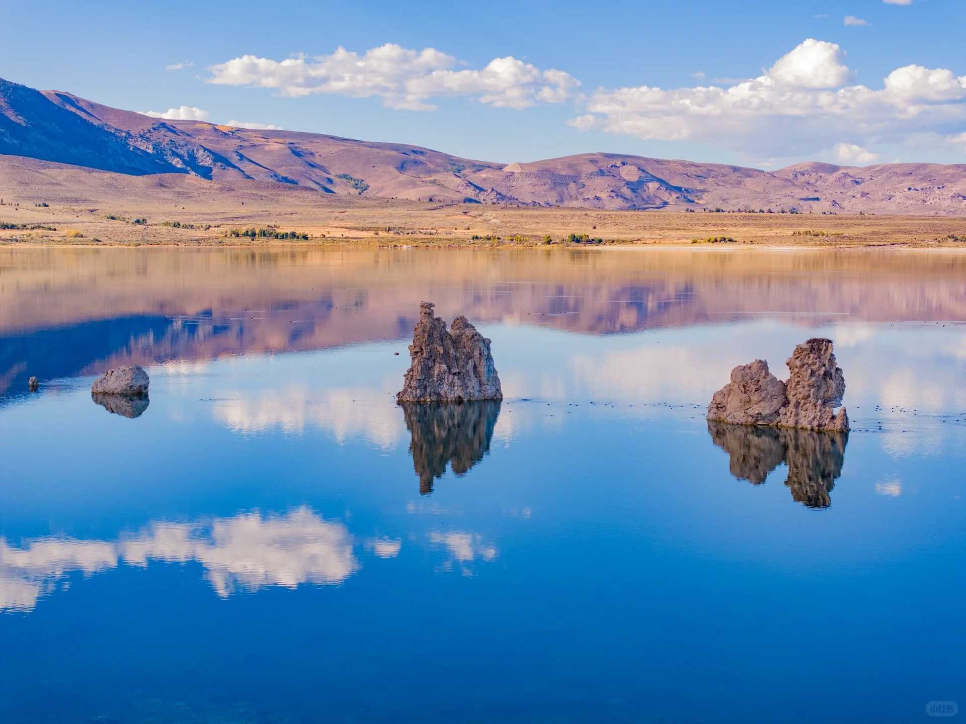 Pure Dry Goods! California Treasure Highway 395 Autumn Appreciation Guide 🍁