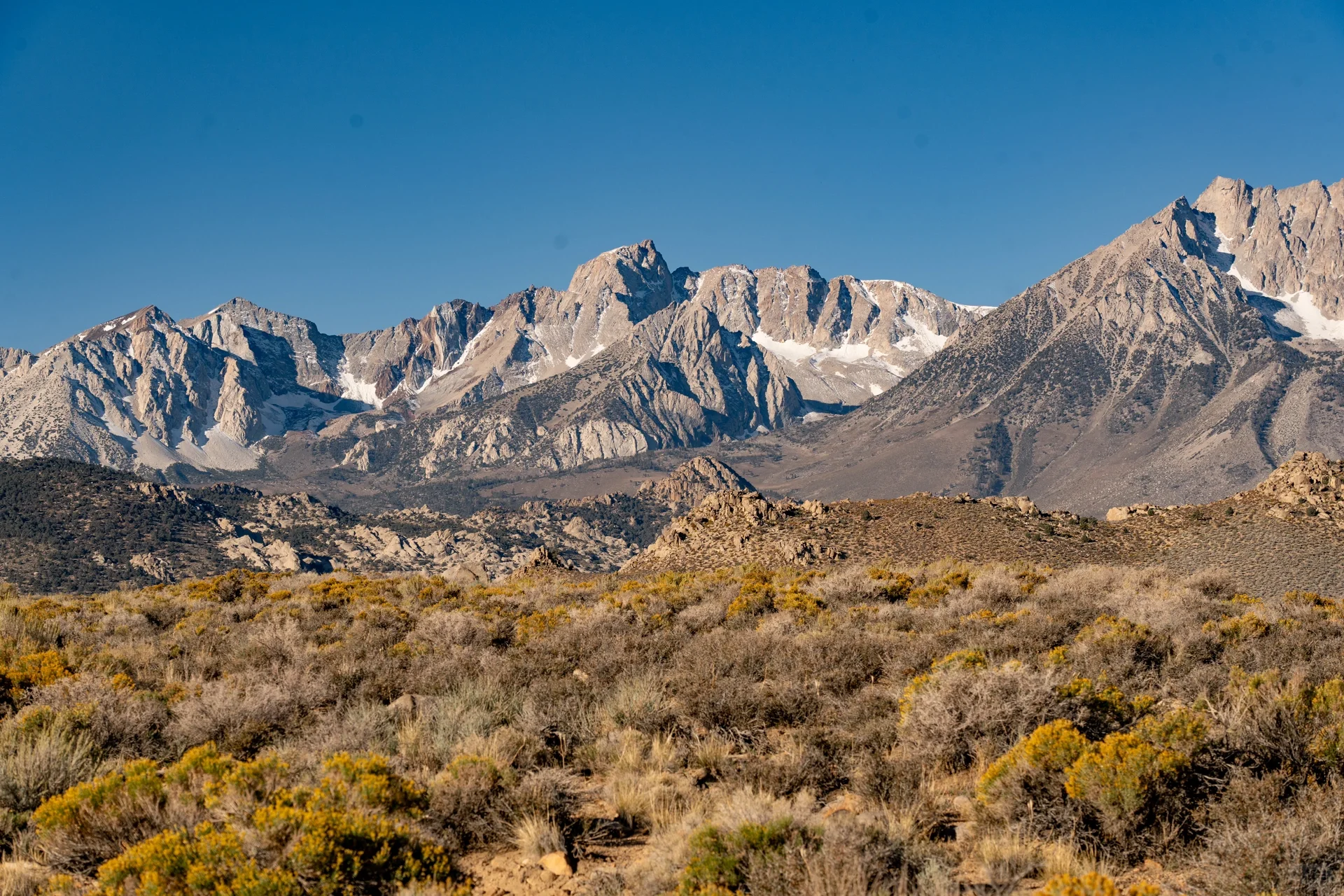 Pure Dry Goods! California Treasure Highway 395 Autumn Appreciation Guide 🍁