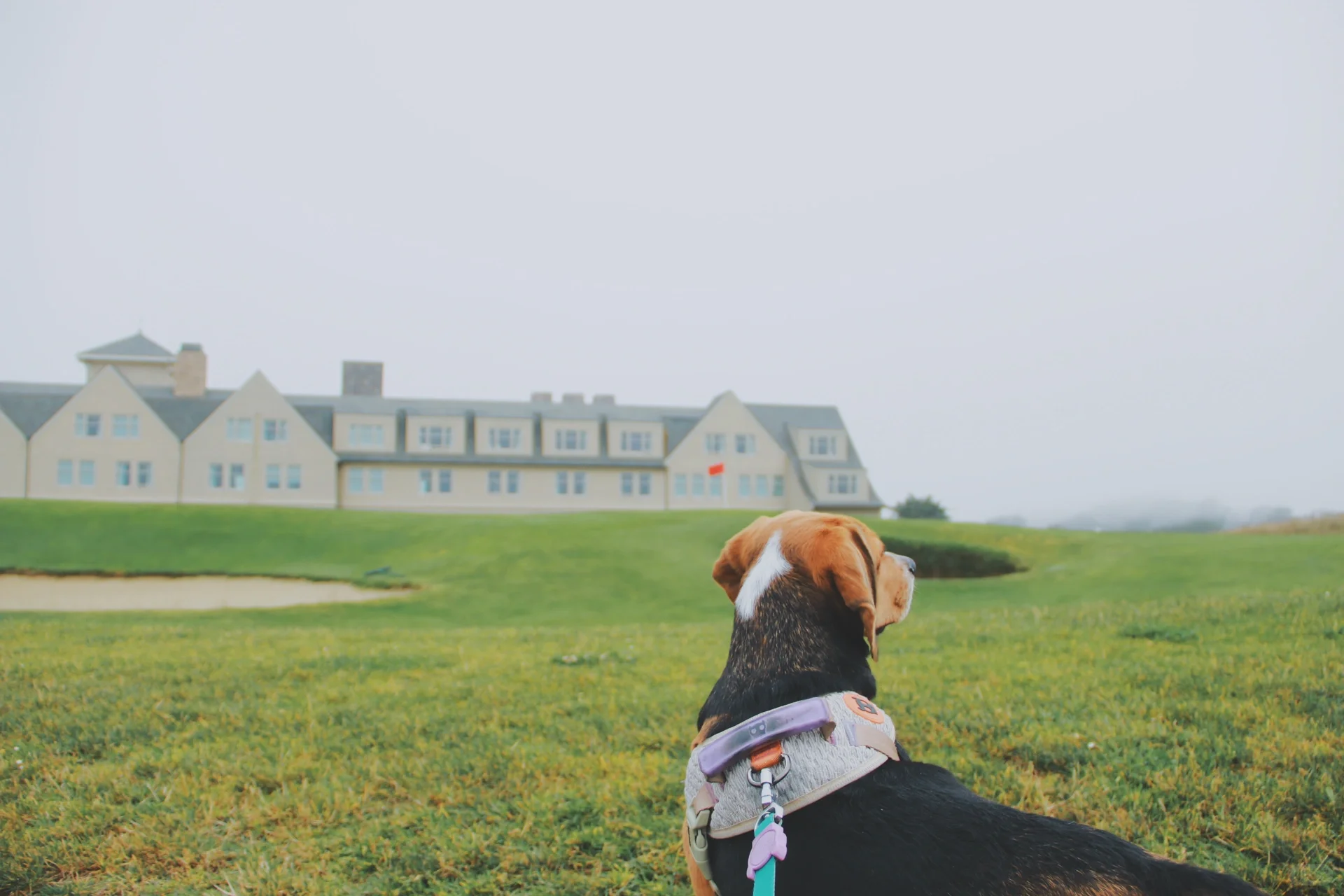 🌊 Half Moon Bay Seaside Adventure: Stroller-Friendly Family Day Trip in the Bay Area!