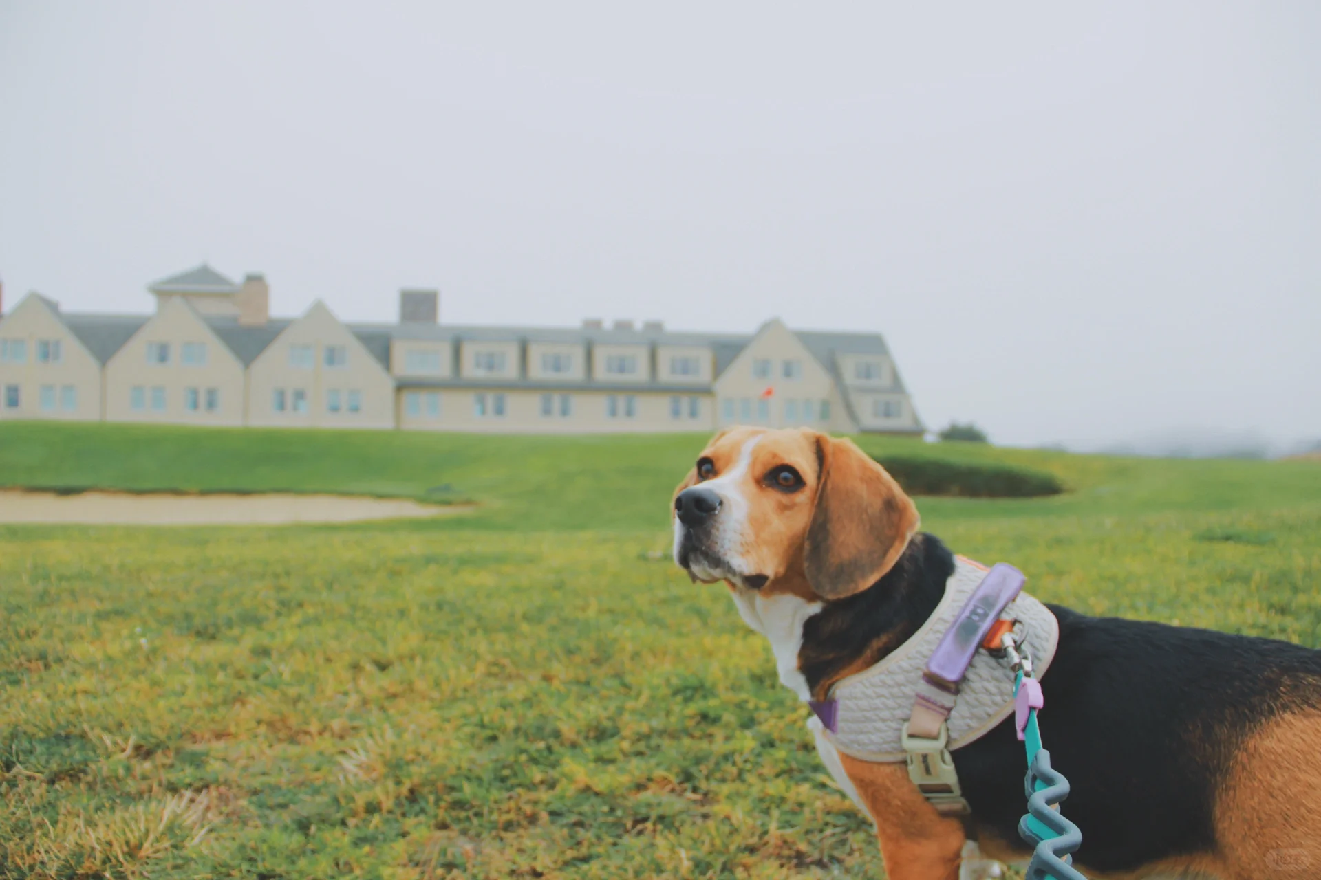 🌊 Half Moon Bay Seaside Adventure: Stroller-Friendly Family Day Trip in the Bay Area!