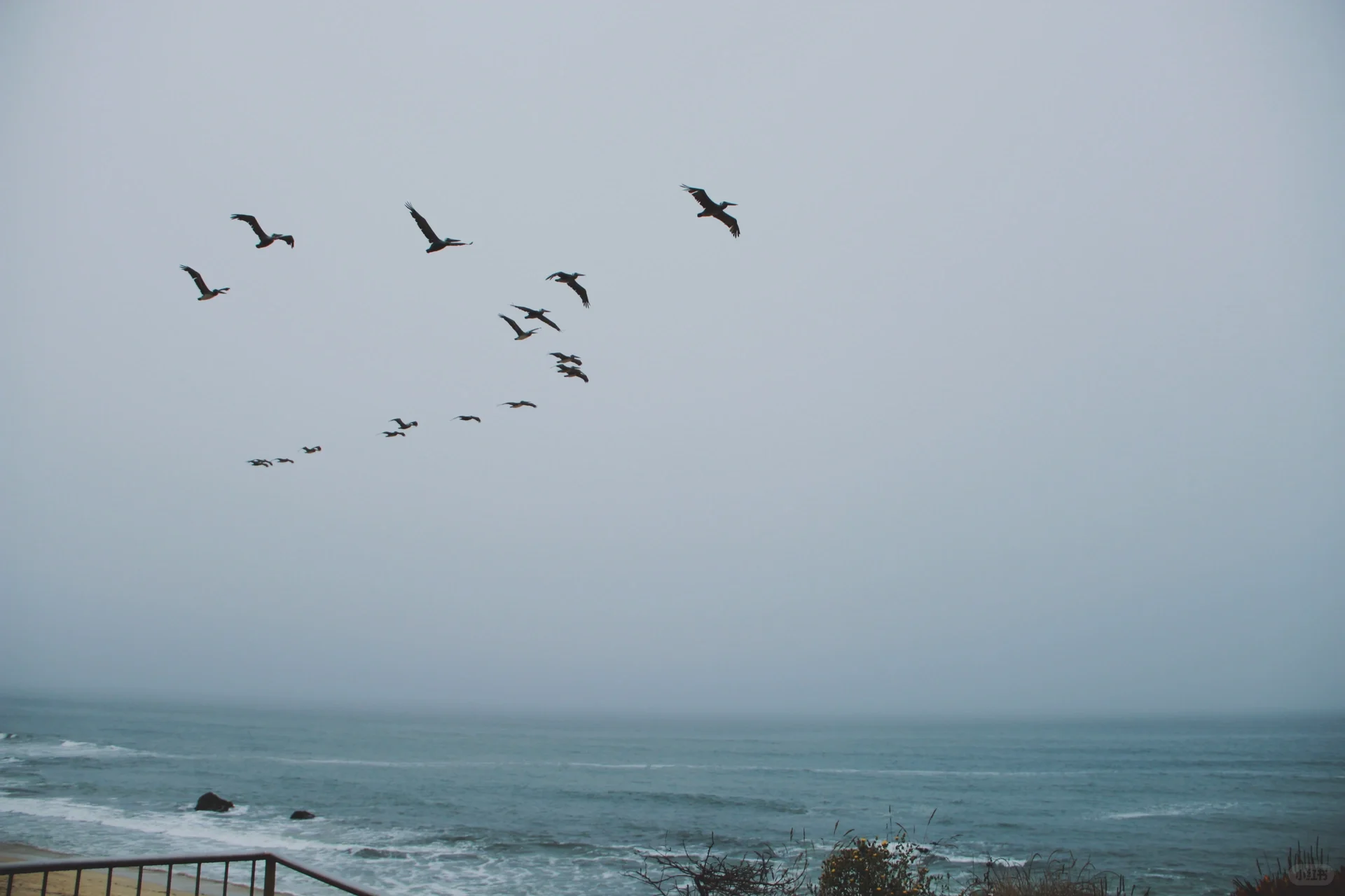 🌊 Half Moon Bay Seaside Adventure: Stroller-Friendly Family Day Trip in the Bay Area!