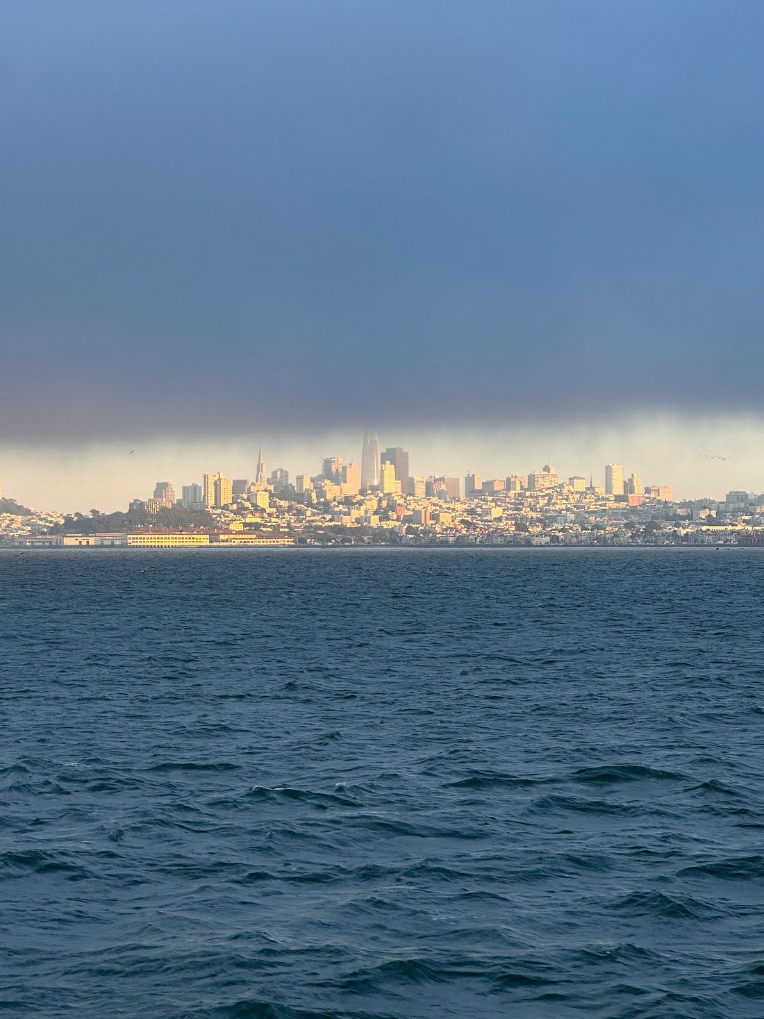 Discover the Secret of Alcatraz Island with Me!