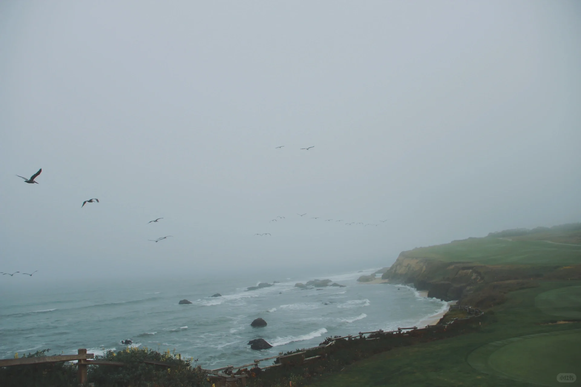 🌊 Half Moon Bay Seaside Adventure: Stroller-Friendly Family Day Trip in the Bay Area!