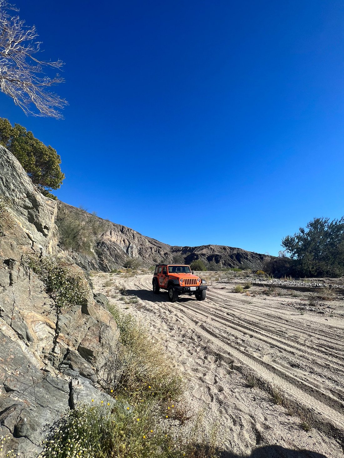 Recommended 4WD Tour in CA: San Andreas Fault Offroad Tour