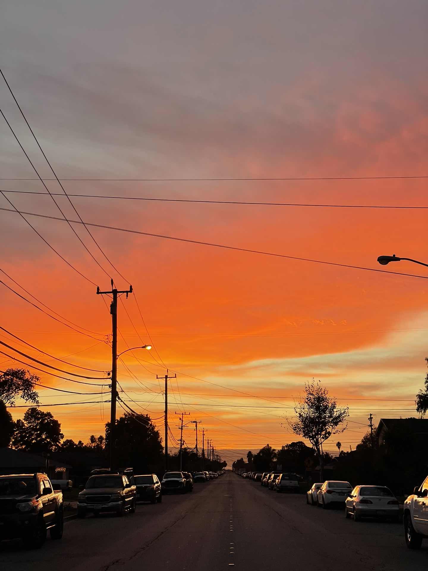 🍊California