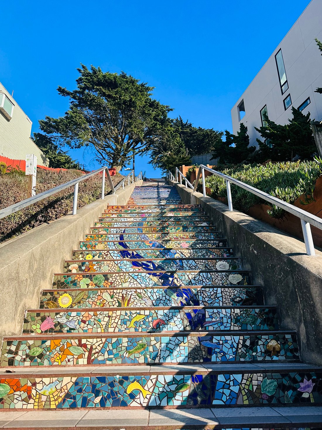 Amazing Tour of Beautiful Mosaics in Hidden Stairways of San Francisco