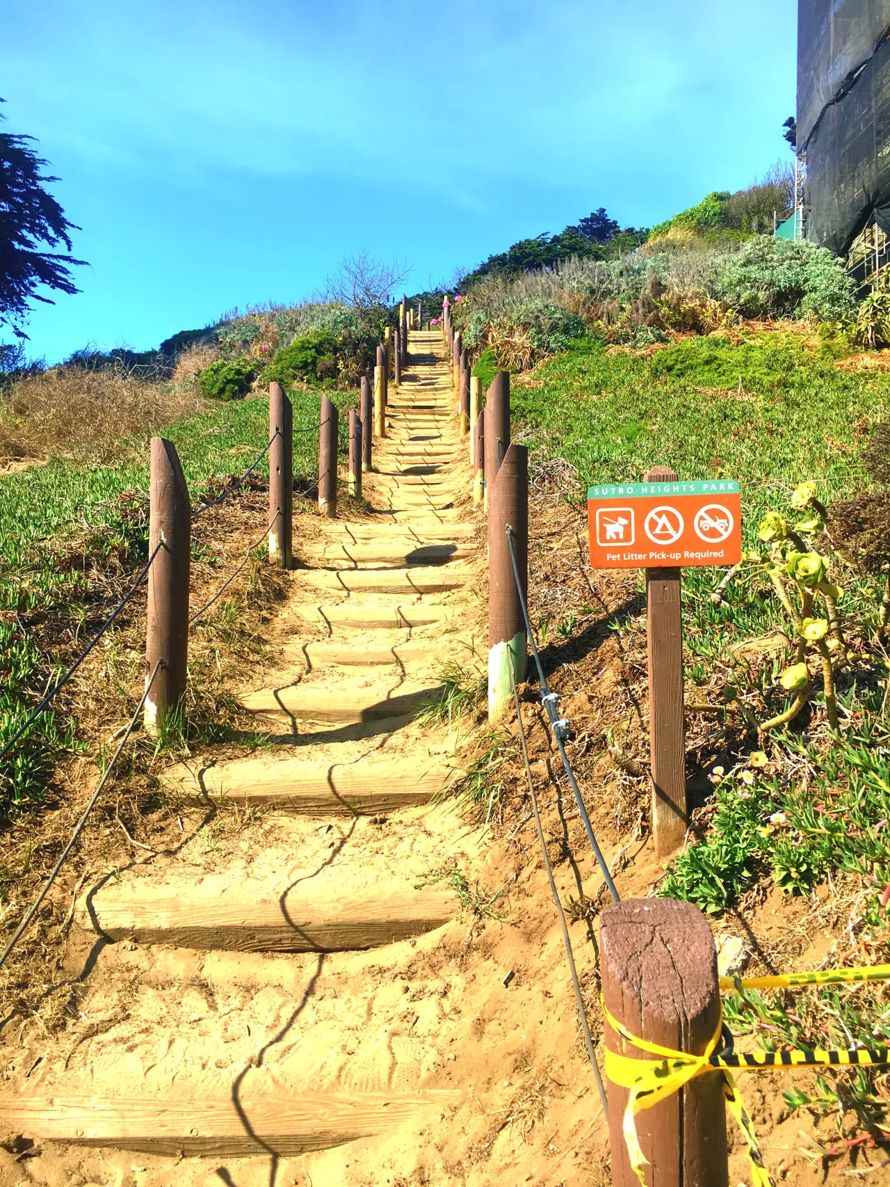 ULTIMATE HIKING GUIDE&TIPS FOR LANDS END TRAIL: SAN FRANCISCO