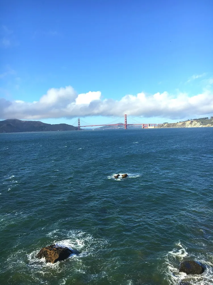 ULTIMATE HIKING GUIDE&TIPS FOR LANDS END TRAIL: SAN FRANCISCO