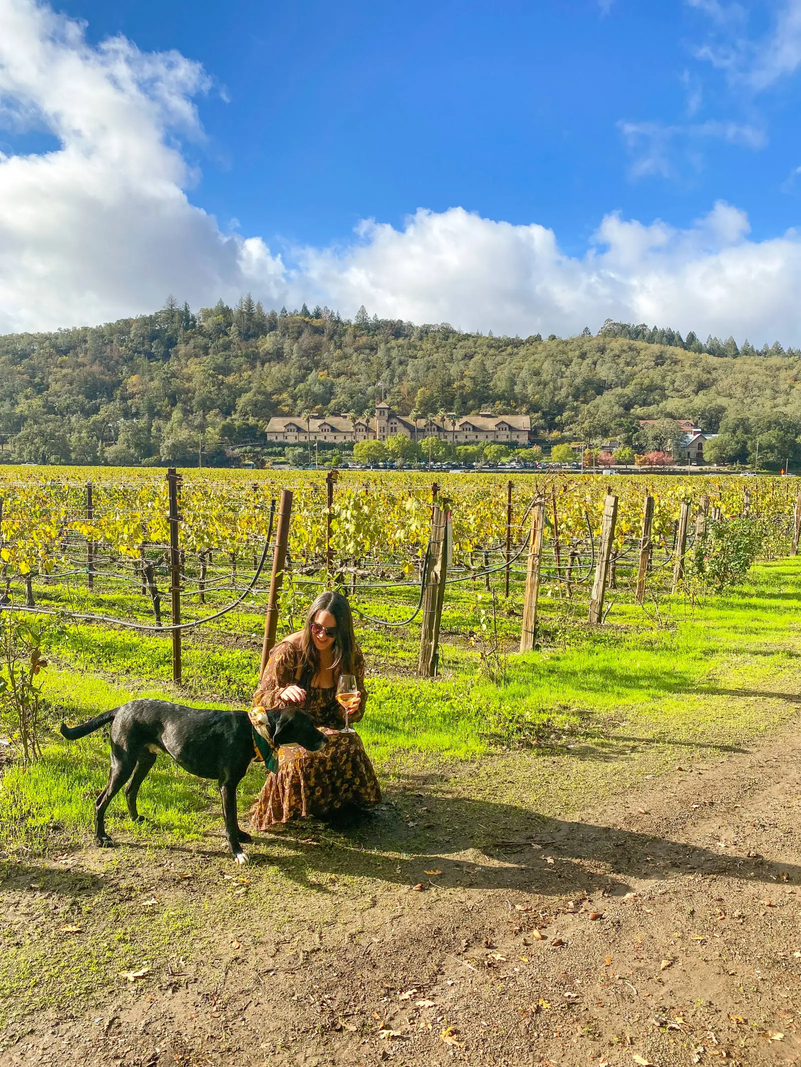 4 DAY NAPA VALLEY ITINERARY!

