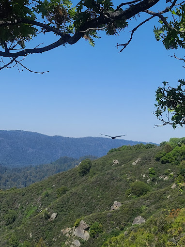 Explore Castle Rock State Park With Kids!