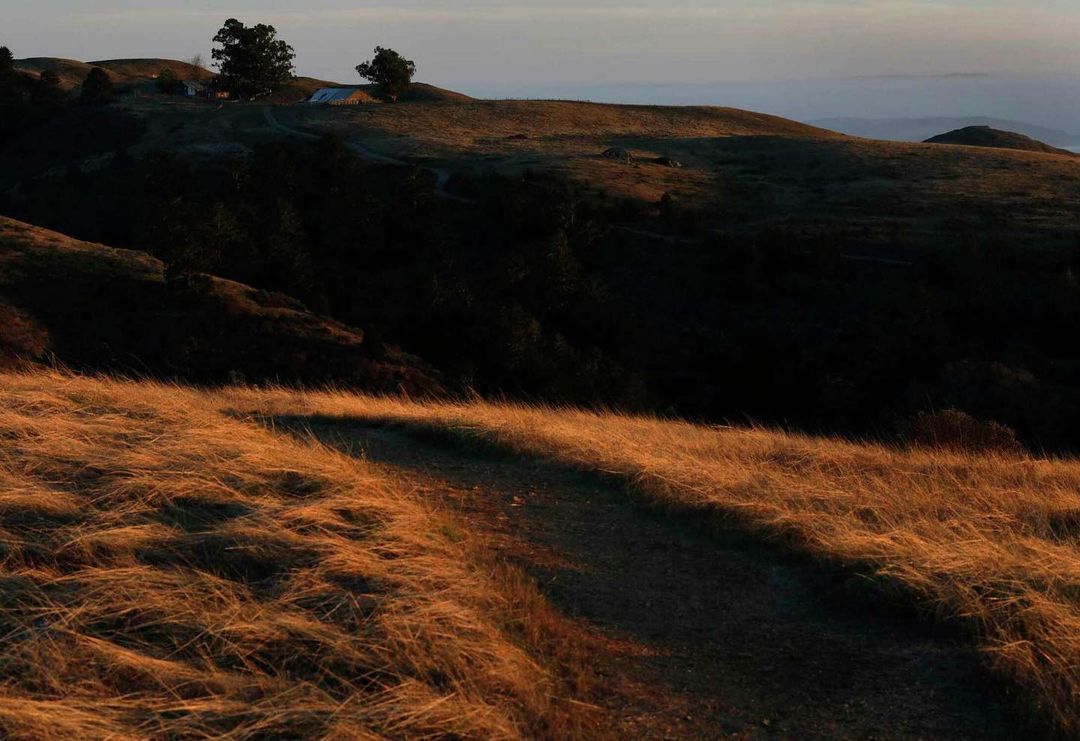 The 10 best hiking trails in the Bay Area