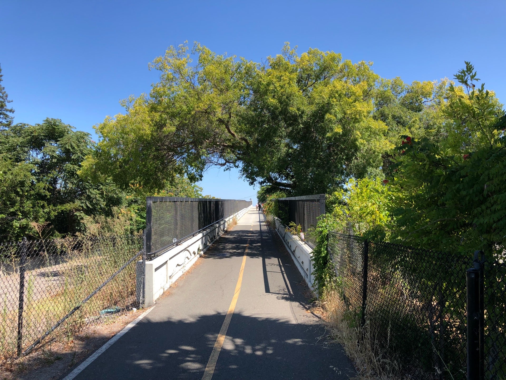 Permanente Creek Trail Guide