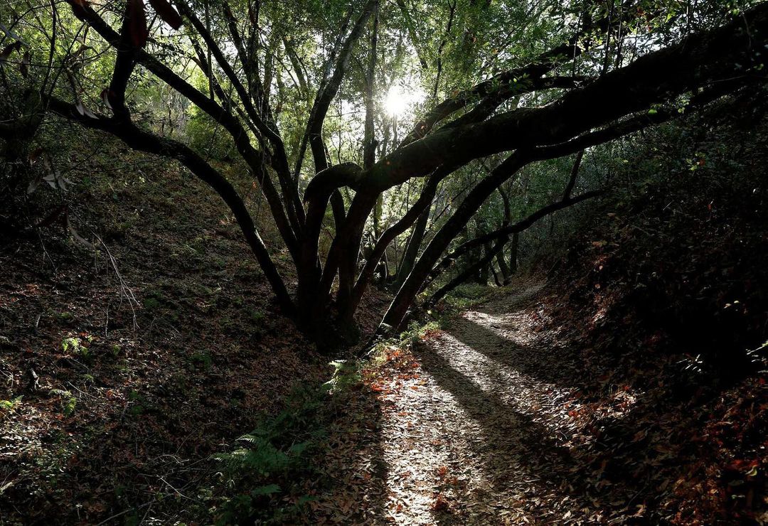 The 10 best hiking trails in the Bay Area