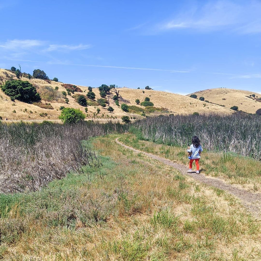 Coyote Hills Regional Park: Exploring Fremont's Hidden Gem