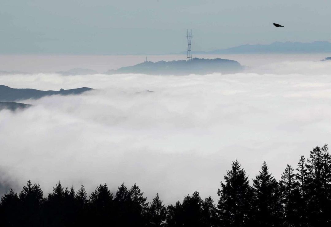 The 10 best hiking trails in the Bay Area
