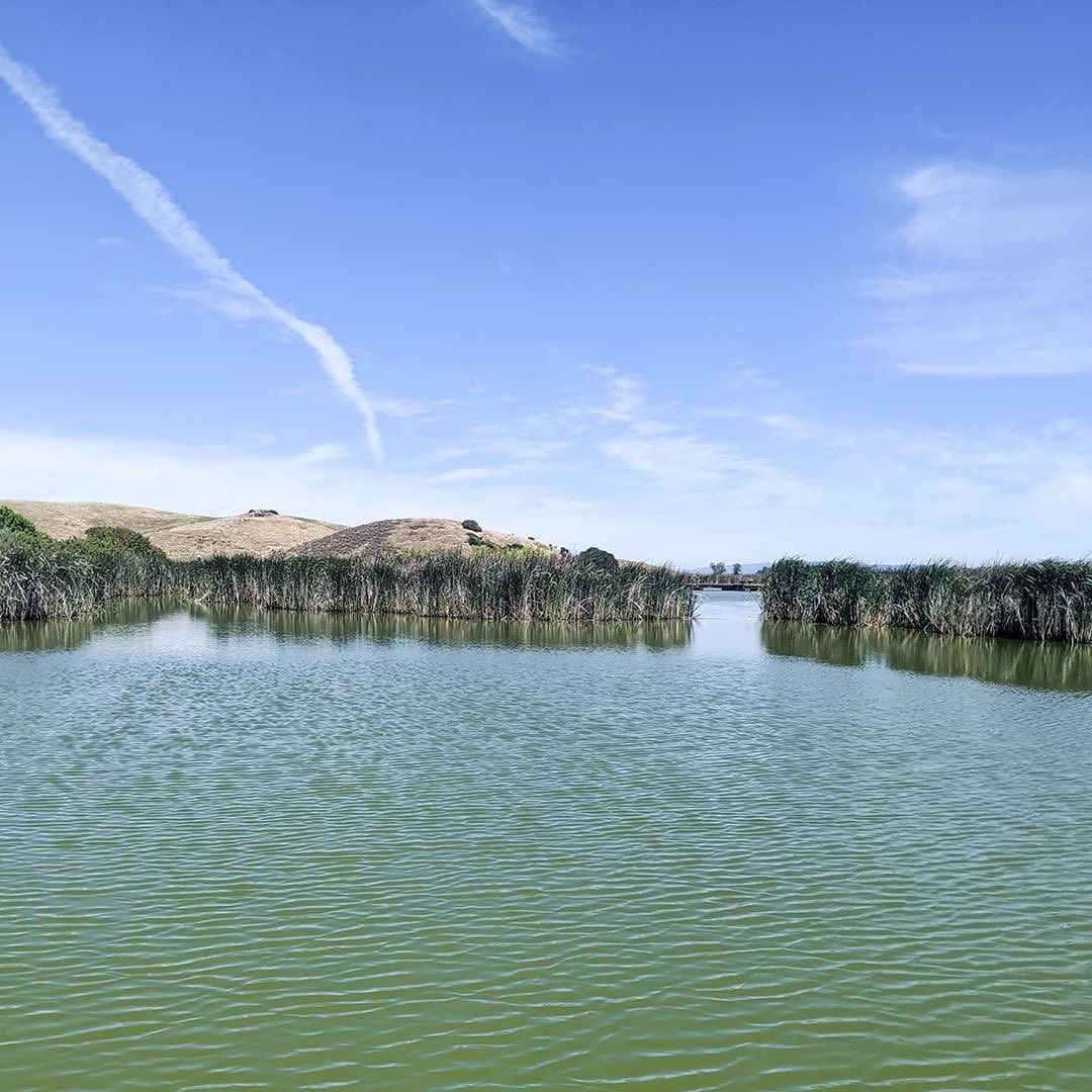 Coyote Hills Regional Park: Exploring Fremont's Hidden Gem