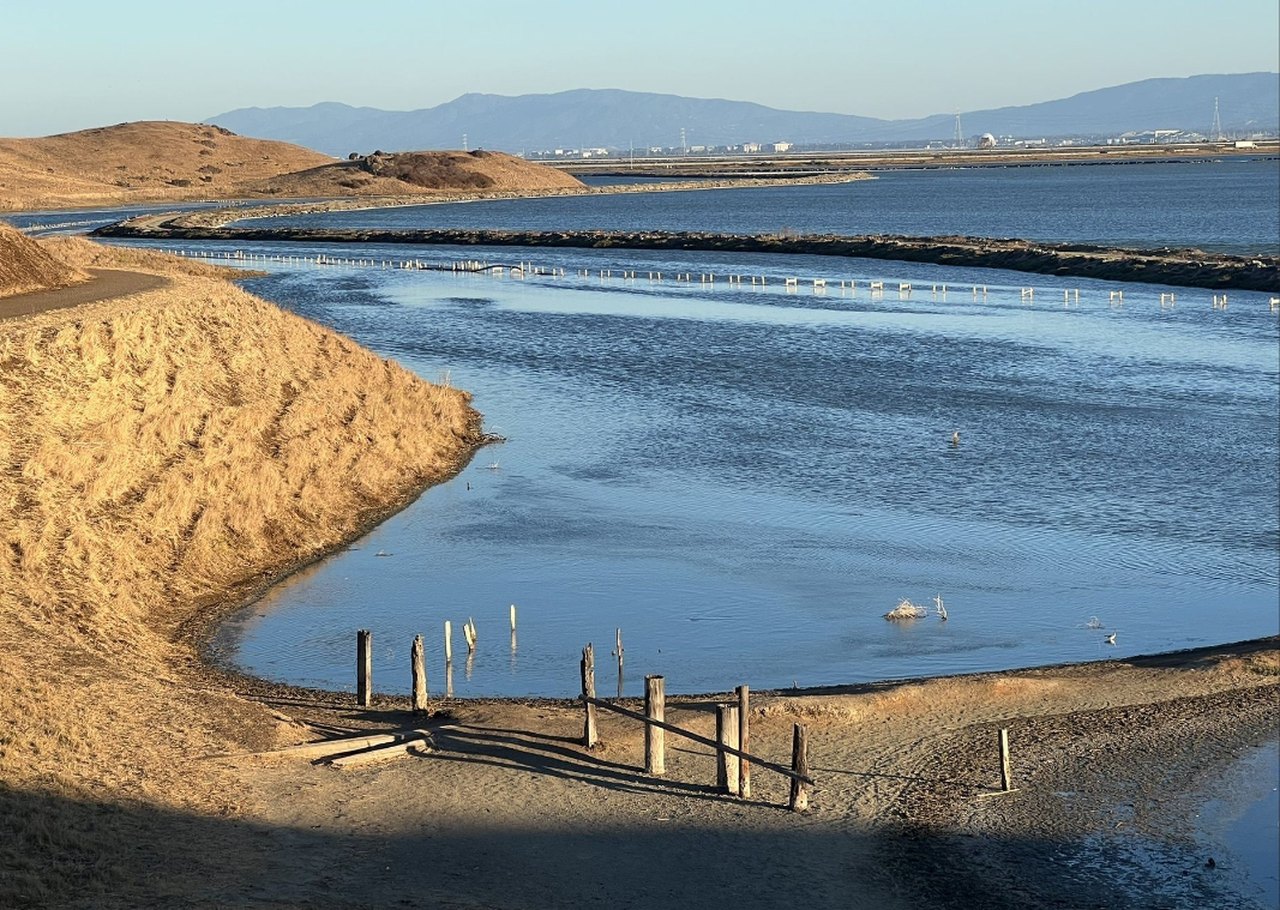 Coyote Hills Regional Park: Exploring Fremont's Hidden Gem
