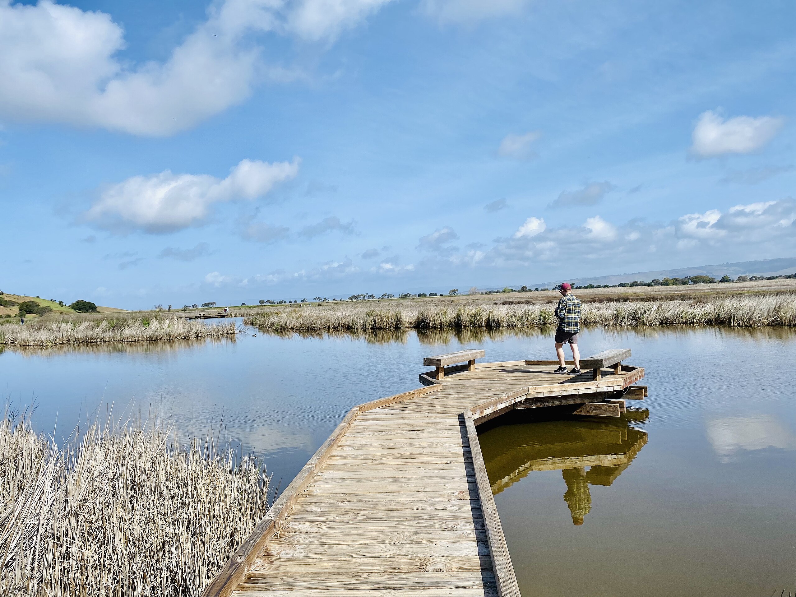 Coyote Hills Regional Park: Exploring Fremont's Hidden Gem