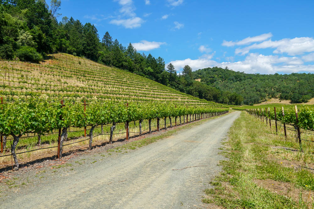THE 5 BEST THINGS TO DO IN NAPA VALLEY