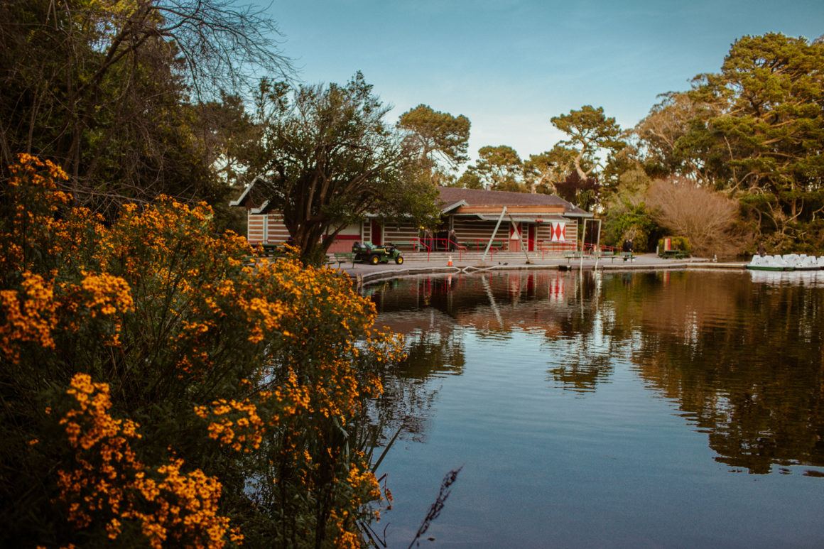 Golden Gate Park Map: Find Hidden Gems + Top Things To Do In Golden Gate Park