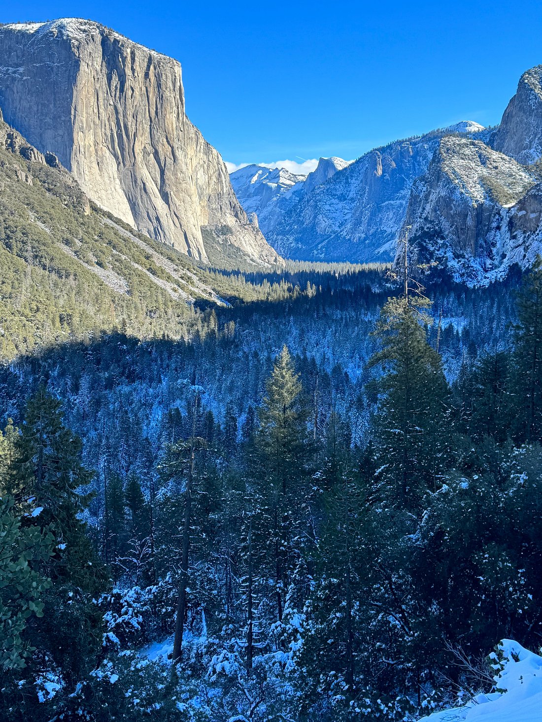 My Great Day Trip to Yosemite and Giant Sequoias