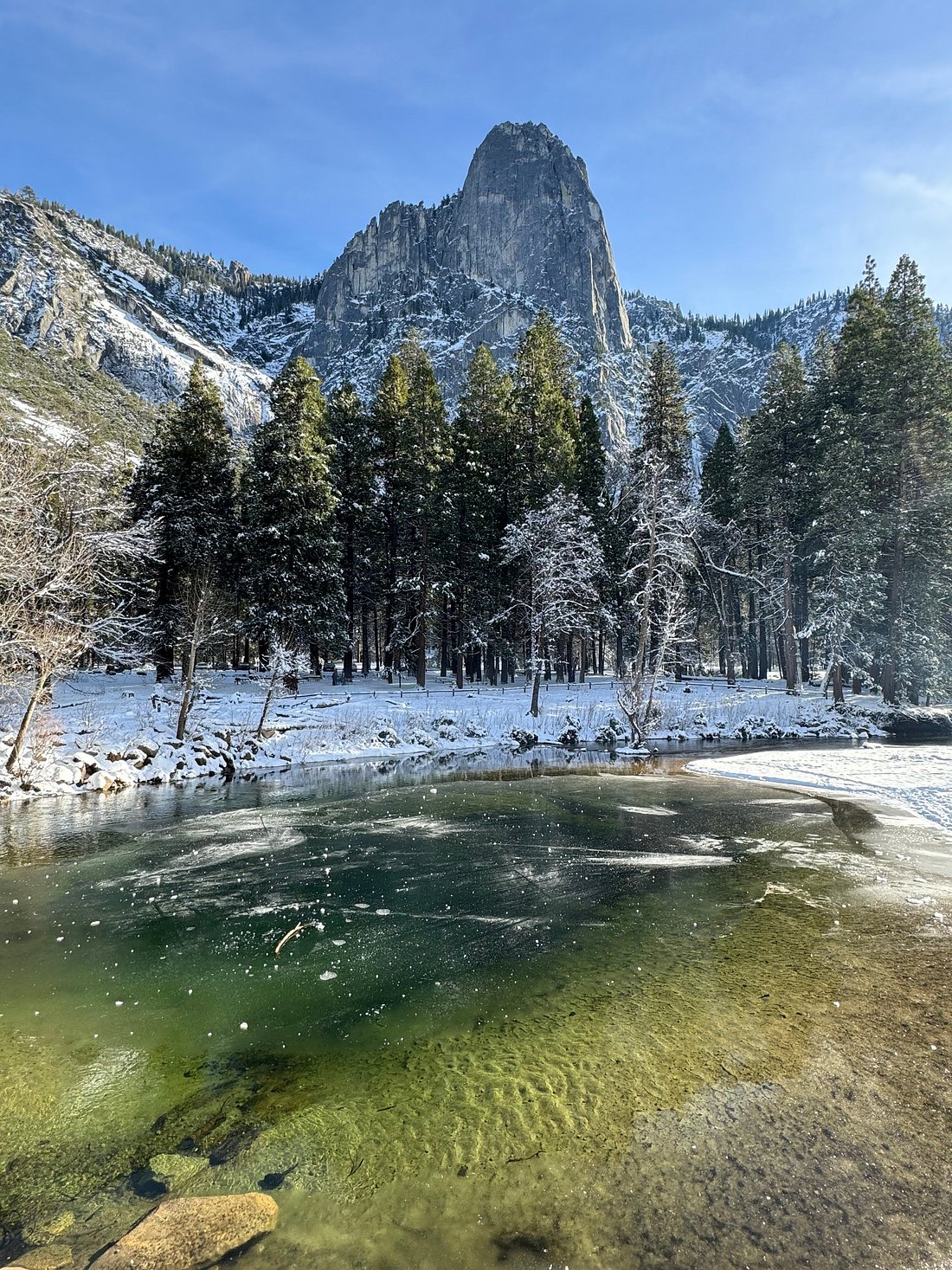 My Great Day Trip to Yosemite and Giant Sequoias