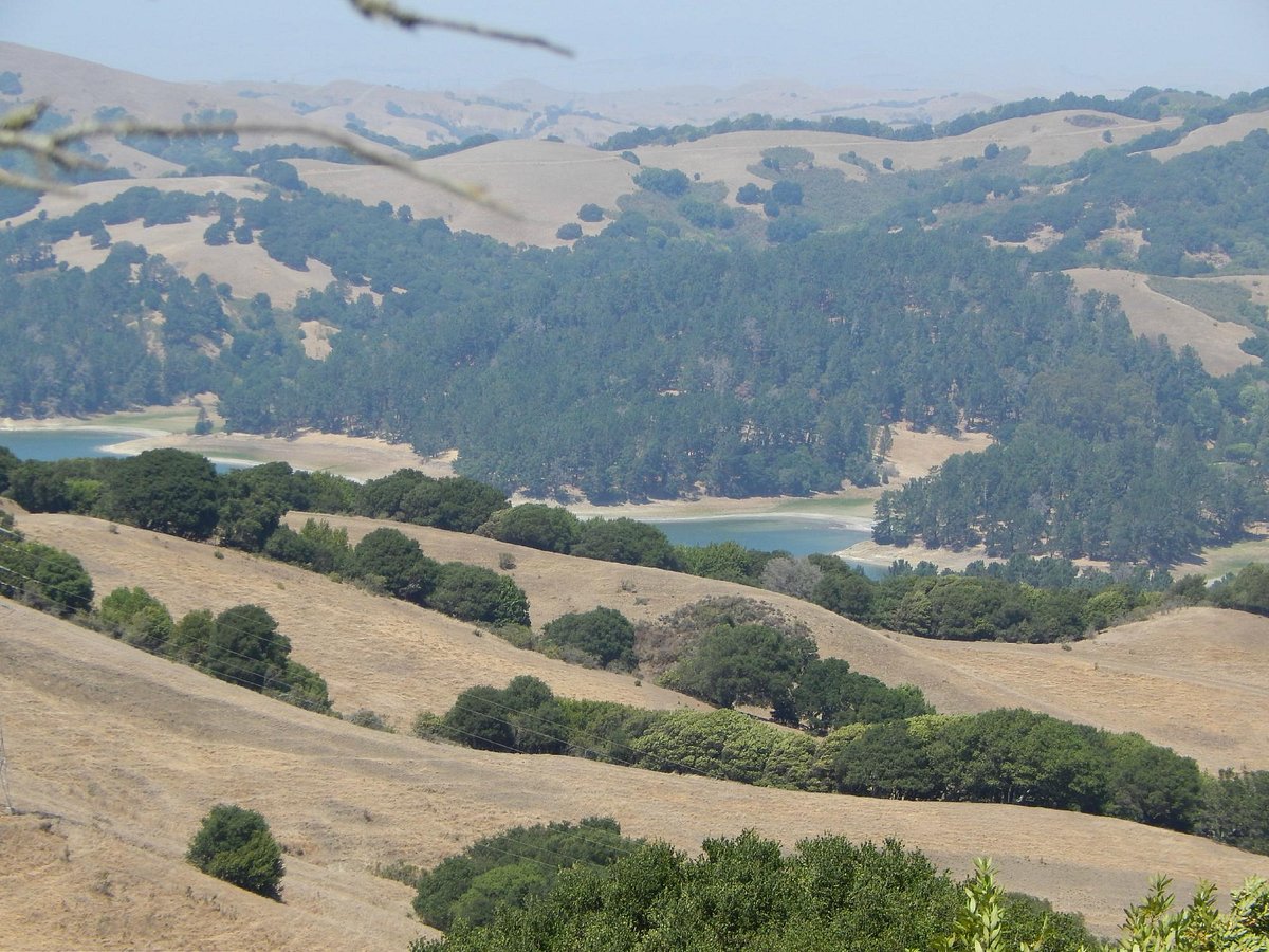 Great Hidden Gem in Berkeley: Tilden Regional Park