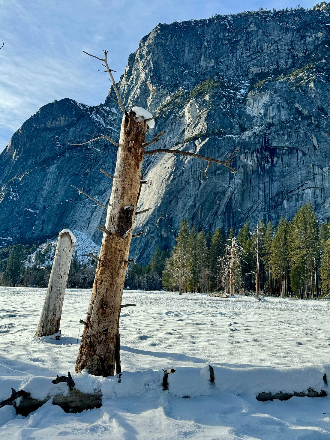 My Great Day Trip to Yosemite and Giant Sequoias