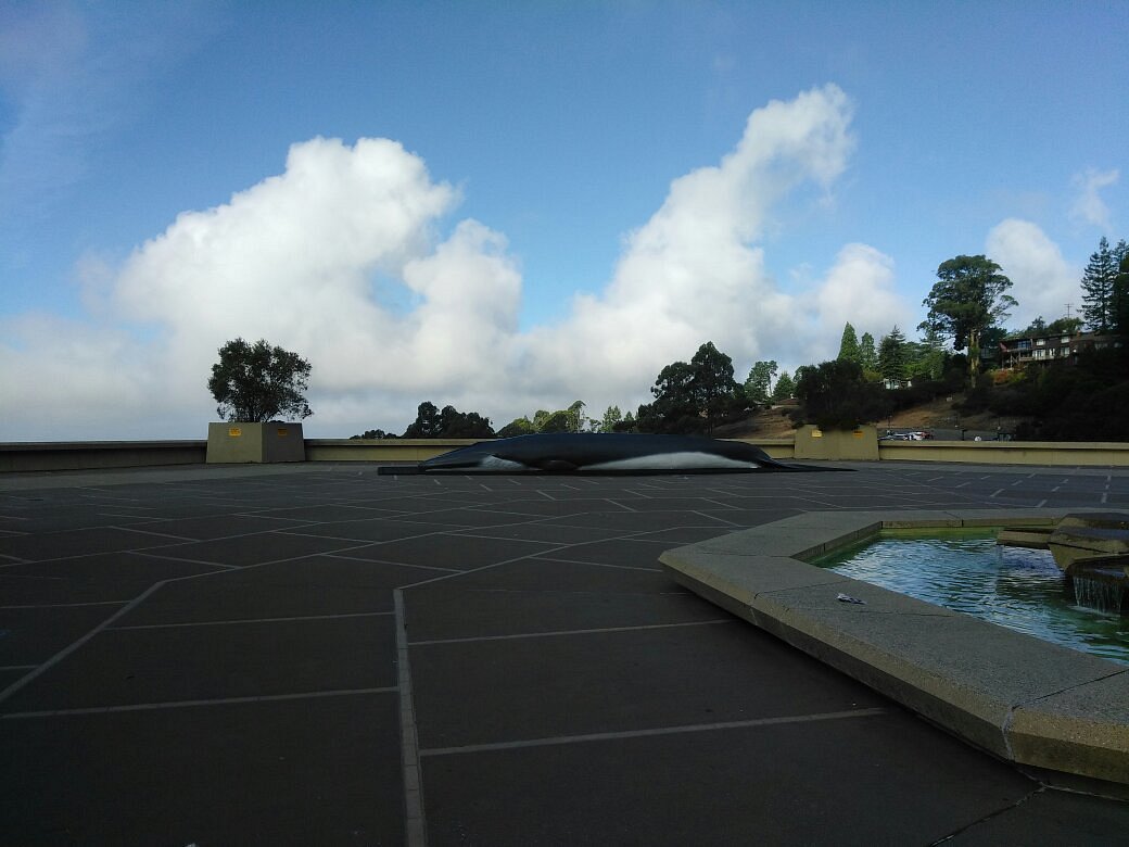 Explore Science in Berkeley: Lawrence Hall of Science