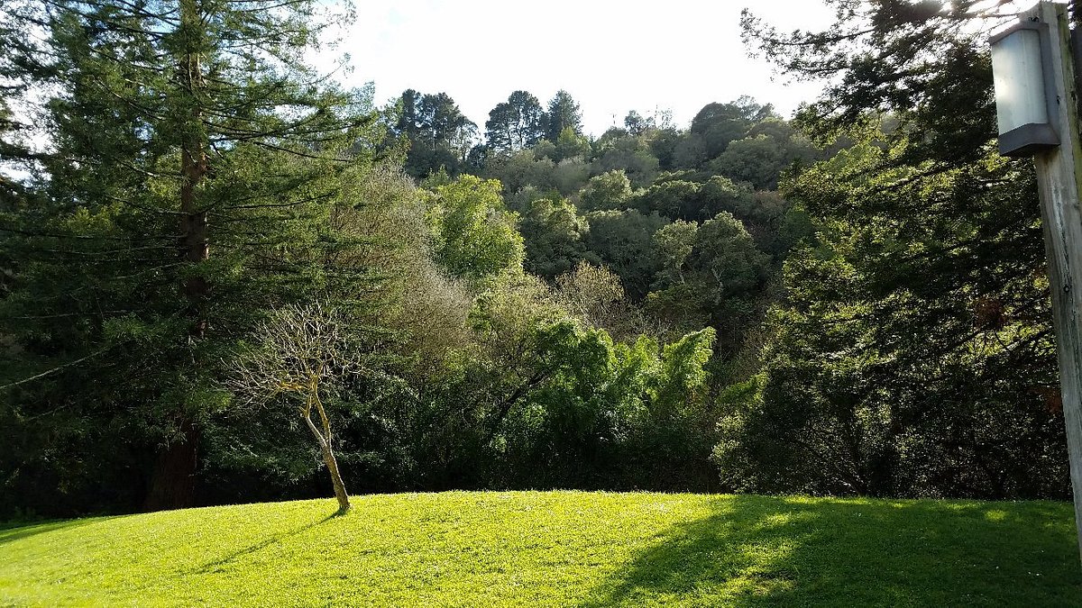 Great Hidden Gem in Berkeley: Tilden Regional Park