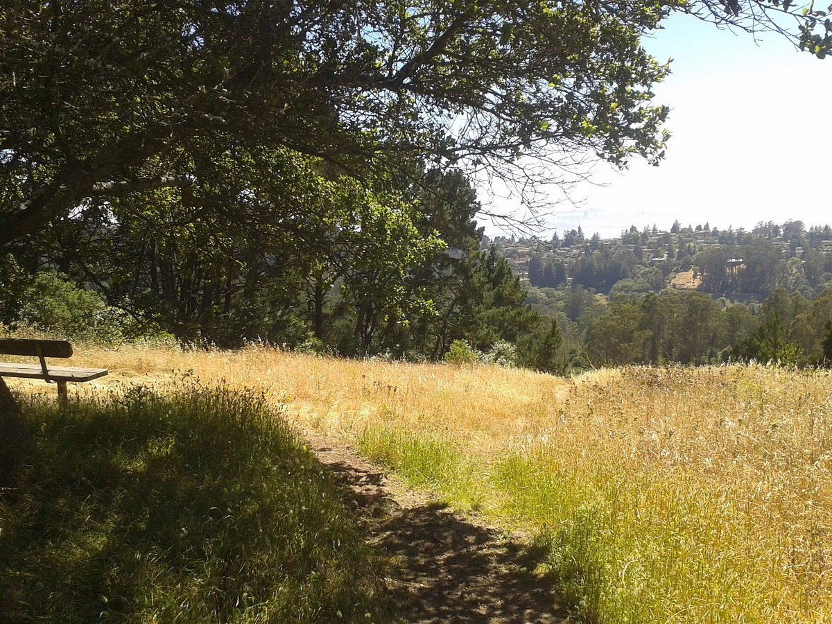 Great Hidden Gem in Berkeley: Tilden Regional Park
