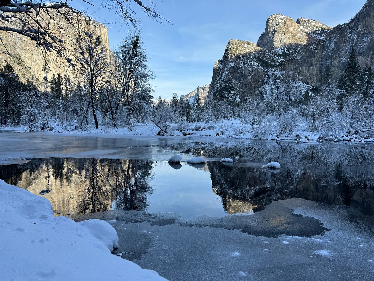 My Great Day Trip to Yosemite and Giant Sequoias