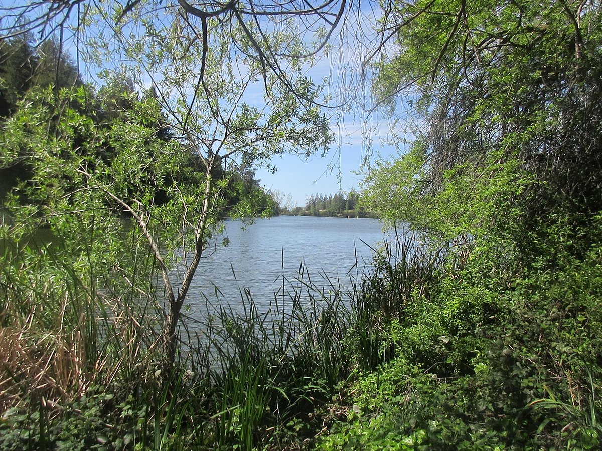 Locals Only: Private Leisure Time in Temescal Regional Recreation Area
