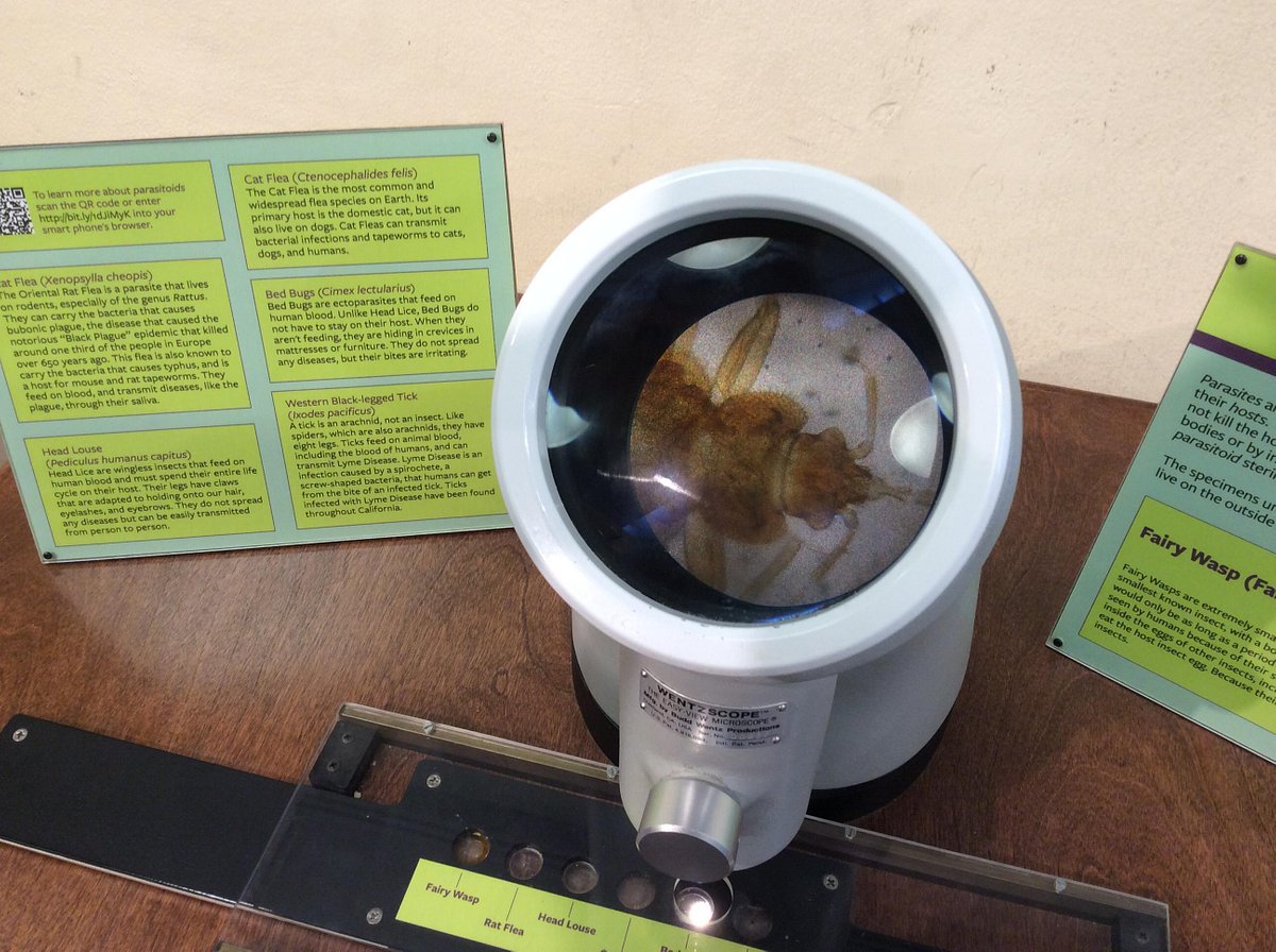 Explore Science in Berkeley: Lawrence Hall of Science