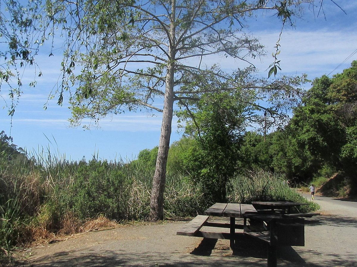 Locals Only: Private Leisure Time in Temescal Regional Recreation Area