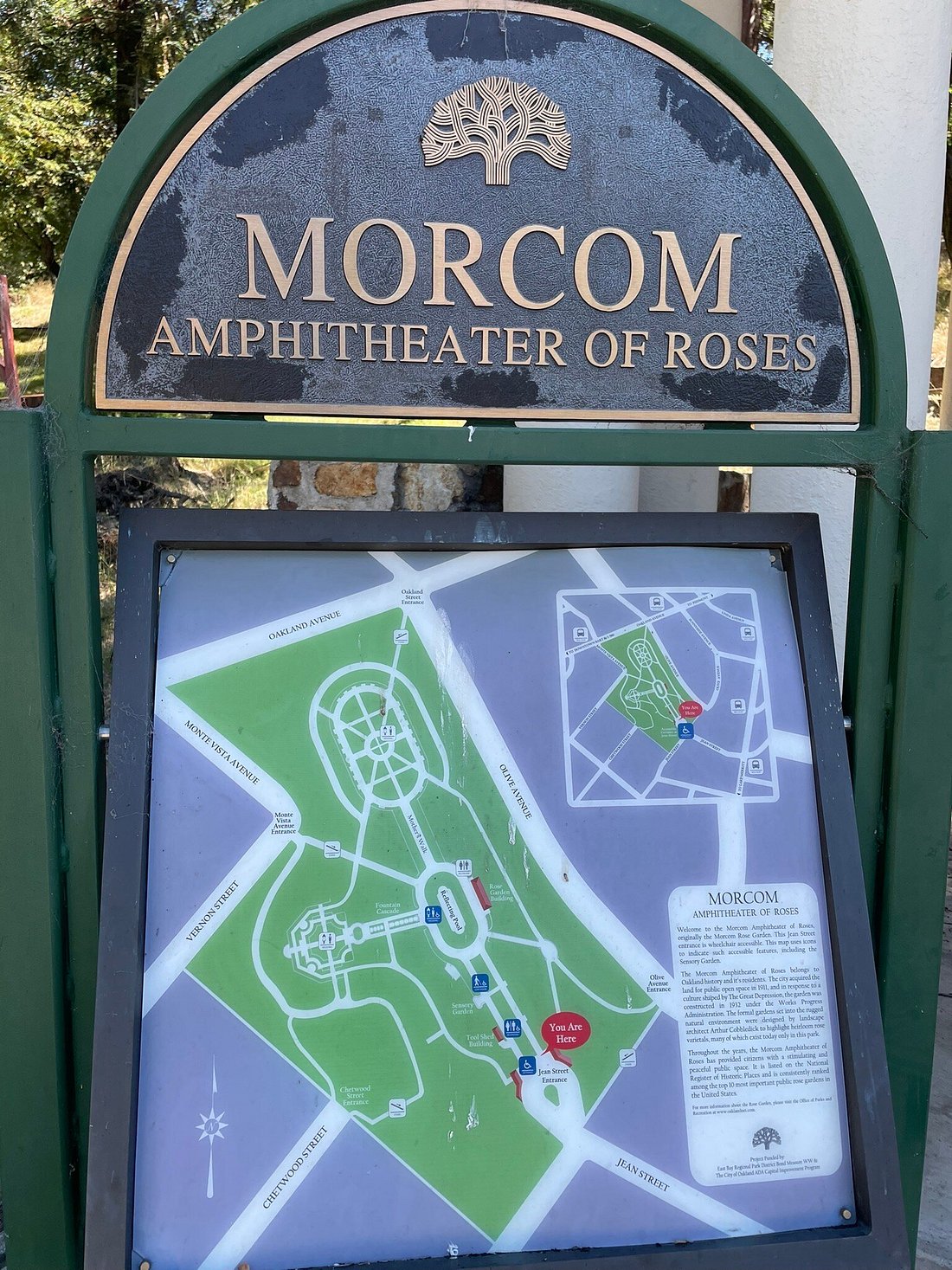 Hidden Gem in Oakland: Enjoy the Joy of Flowers in Morcom Amphitheater of Roses