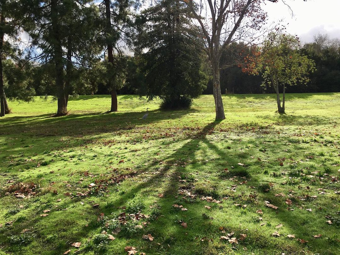 Hellyer County Park: San Jose
One of our favorite parks to visit