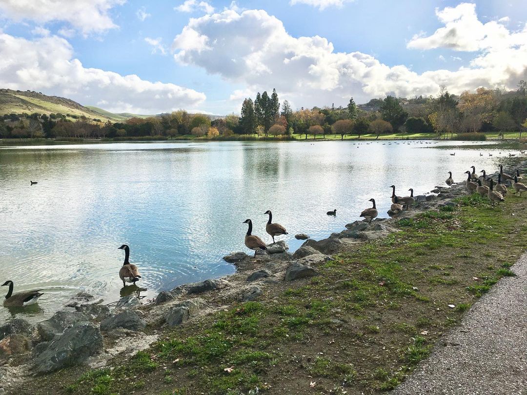 Hellyer County Park: San Jose
One of our favorite parks to visit