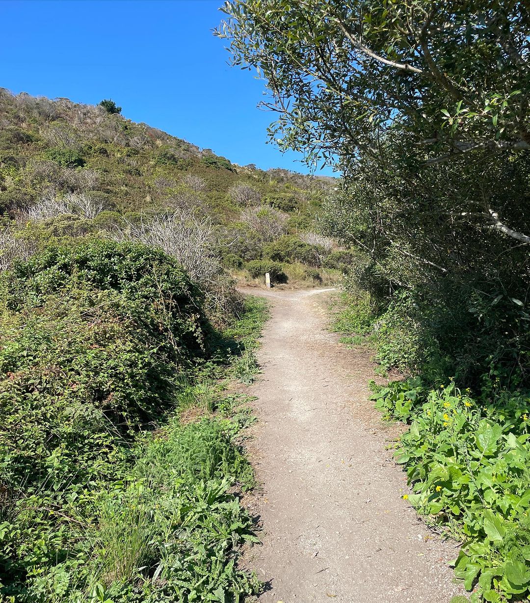 Pillar Point Bliss: A Quick and Scenic Loop Trail in Half Moon Bay
