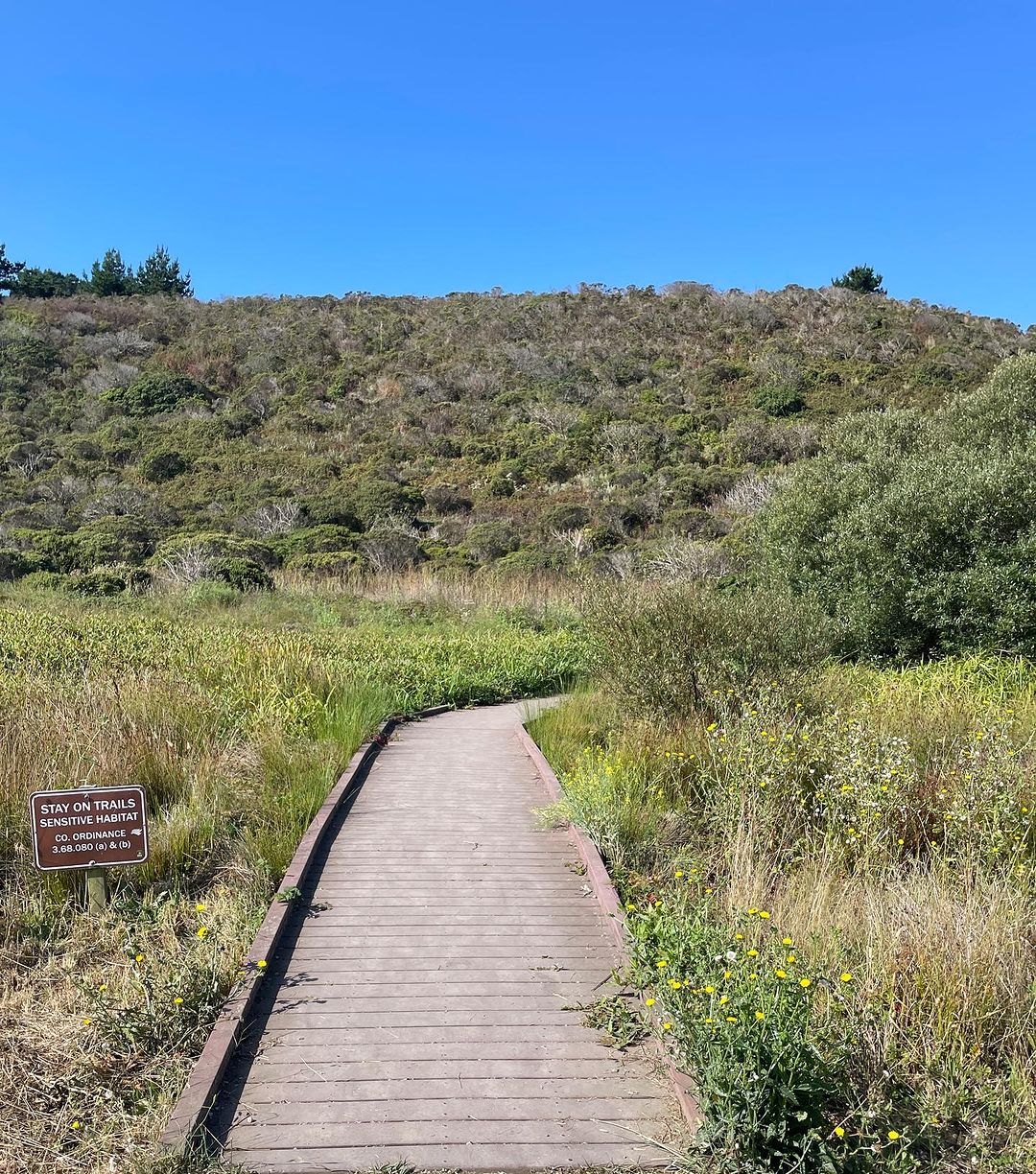 Pillar Point Bliss: A Quick and Scenic Loop Trail in Half Moon Bay
