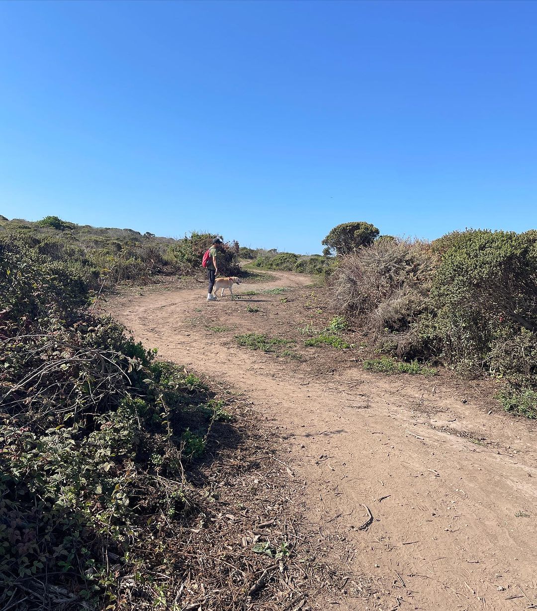 Pillar Point Bliss: A Quick and Scenic Loop Trail in Half Moon Bay
