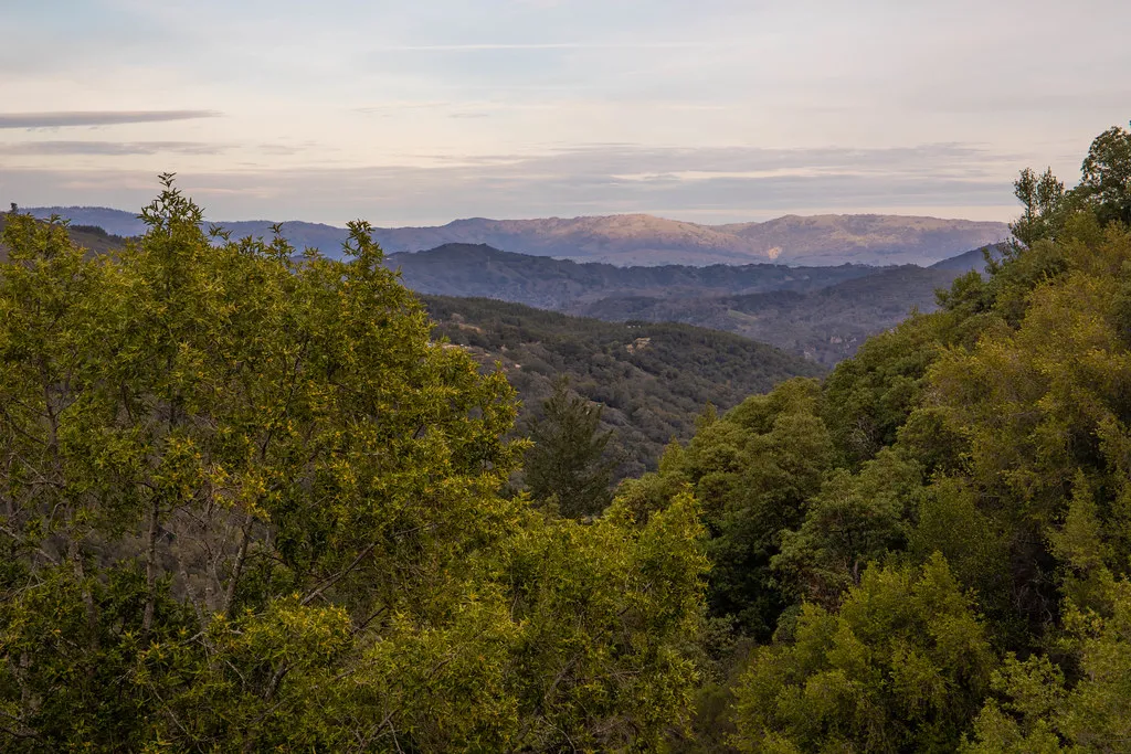 🌲 Exploring Uvas Canyon County Park 🌲